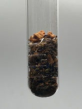 Load image into Gallery viewer, PHILIPPIANS 2:5 - Blood Sugar & Anti-inflammatory