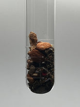 Load image into Gallery viewer, GALATIANS 5:25 - Cellular & Organ Health